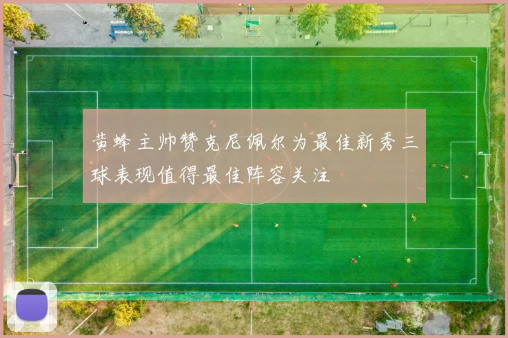 黄蜂主帅赞克尼佩尔为最佳新秀三球表现值得最佳阵容关注